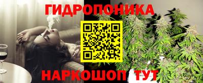 гидропоника Кунгур
